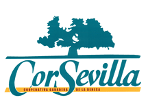 Logo Corsevilla